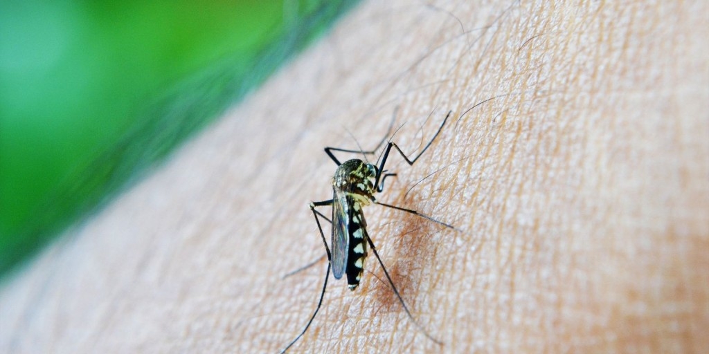 Giro Marília -Brasil já tem mais de 3 milhões de casos de dengue em 2024