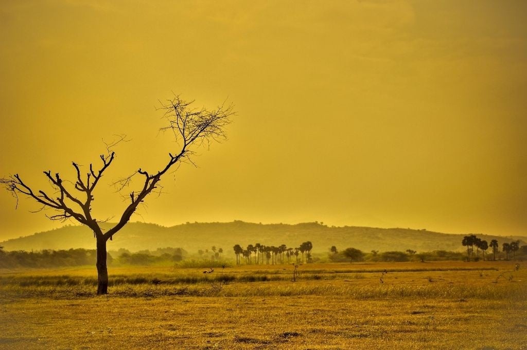 Primavera começou sem previsão de grandes mudanças climáticas Primavera começou sem previsão de grandes mudanças climáticas
