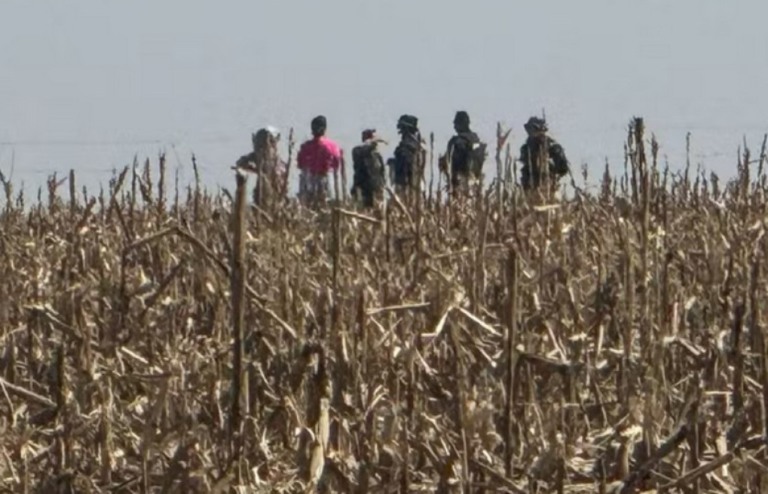 Tensão no campo aumenta com indefinição sobre Marco Temporal. Confronto deixa 11 feridos no MS