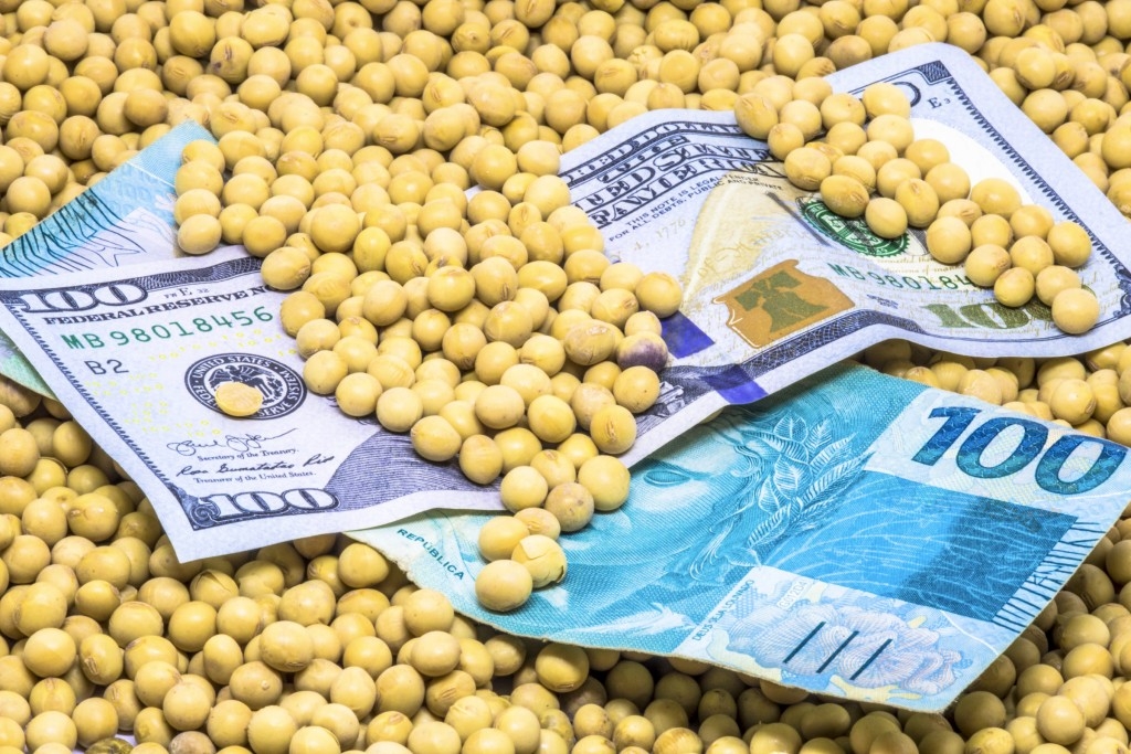 Preços da soja começaram a semana em queda em diversas regiões do Brasil Preços da soja começaram a semana em queda em diversas regiões do Brasil