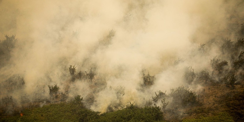 © Joédson Alves/Agência © Joédson Alves/Agência