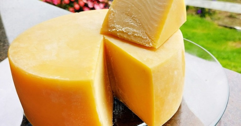 Queijo Artesanal de Minas: 6ª edição do festival reúne tradição, sabor e diversidade