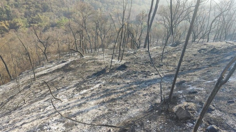 Fogo em 31 propriedades na região de Marília provoca multa de R$ 12 milhões