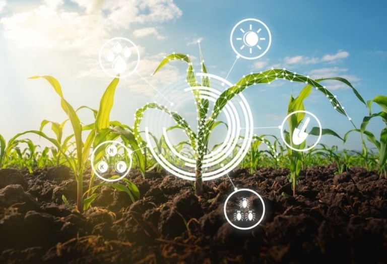 Empresa de Pesquisa Agropecuária de Minas Gerais lança programa de inovação e aceleração digital do agronegócio