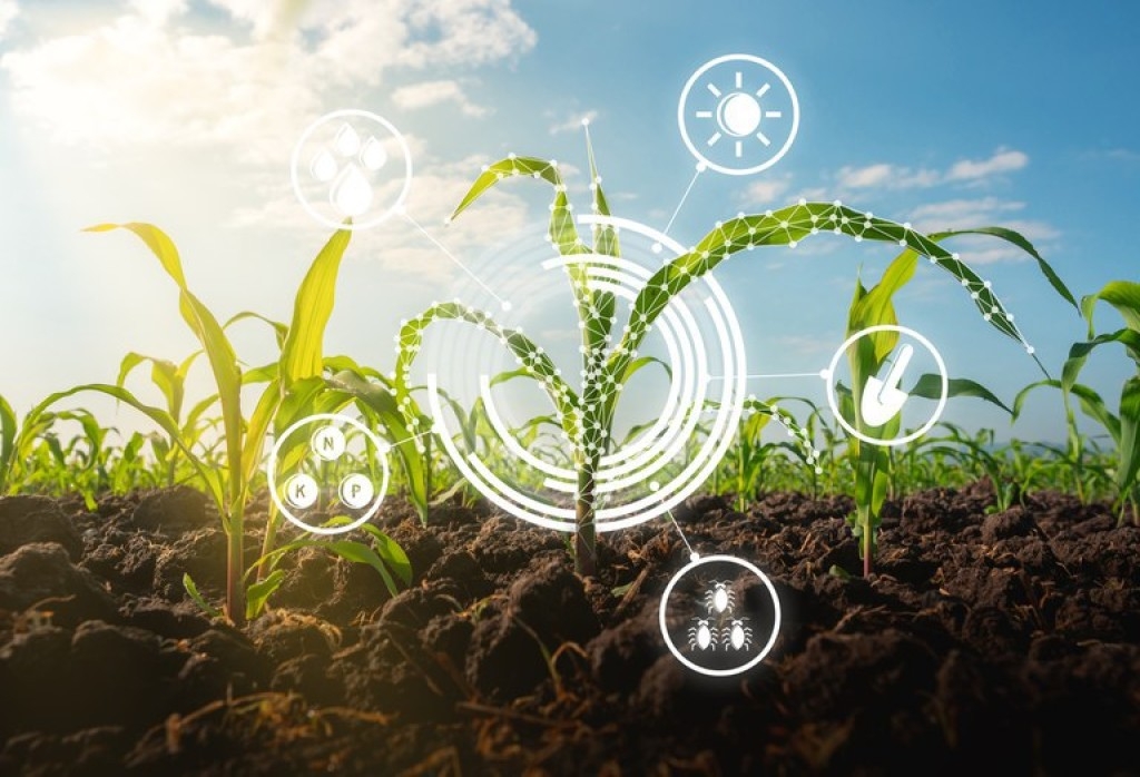 Empresa de Pesquisa Agropecuária de Minas Gerais lança programa de inovação e aceleração digital do agronegócio Empresa de Pesquisa Agropecuária de Minas Gerais lança programa de inovação e aceleração digital do agronegócio