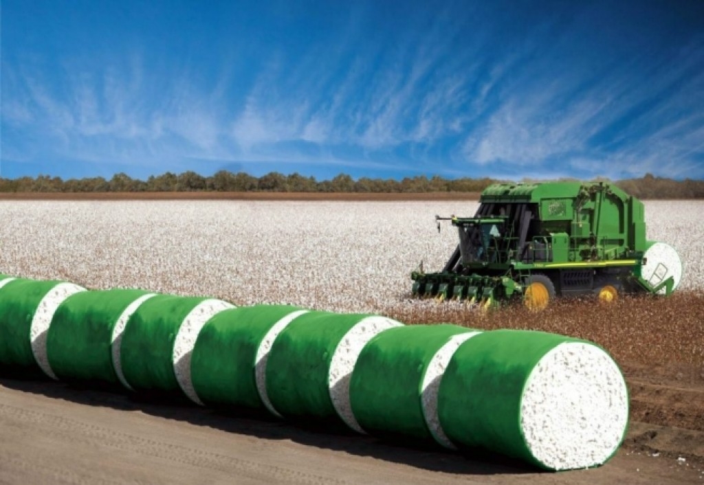 Queda no preço do algodão contrasta com expansão da área plantada no Brasil Queda no preço do algodão contrasta com expansão da área plantada no Brasil