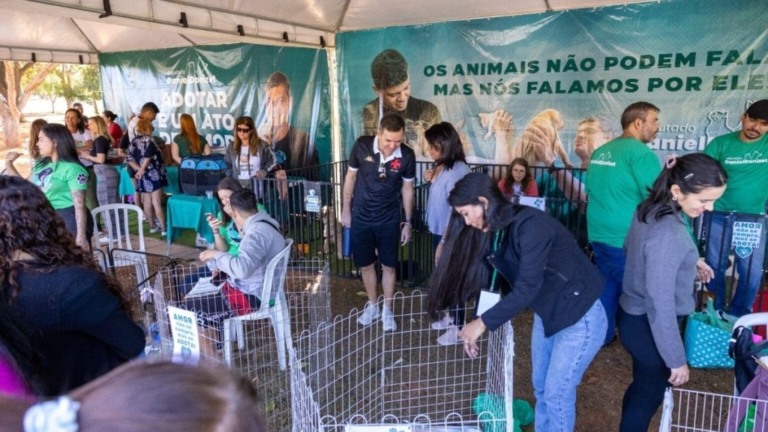 Caio Barbieri DF: feira “Audote um Amigo” encontra lares para 129 cães e gatos no 1ª semestre