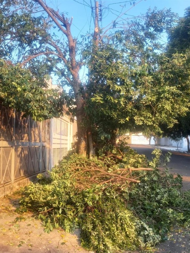 Morador critica poda drástica e sujeira deixada em rua na zona oeste